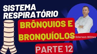 BRÔNQUIOS E BRONQUÍOLOS  Sistema Respiratório  Anatomia Humana PARTE 12  Profº Ederson Wittes [upl. by Salvidor989]