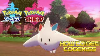 Pokémon Sword and Shield  How to get Togekiss in the wild [upl. by Nat]