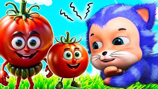 আহা ট্যামাটার  Aaha Tamatar bada mazedaar  Aye Bristi Jhepe  Jugnu Kids Bangla Nursery Rhymes [upl. by Nalyt]