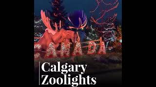 Calgary Zoolights [upl. by Stillman802]