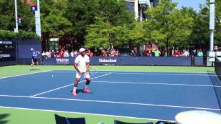 Leander Paes volleying [upl. by Wilkison]