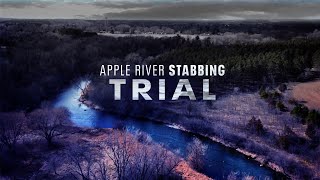 LIVE  Apple River stabbing trial Nicolae Miu  Day 5 [upl. by Birk]