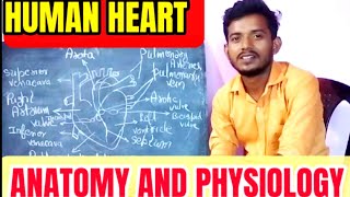 इतना आसान 😱😱Human heart  human heart Anatomy physiology  mechanism of blood circulation medical [upl. by Nay88]