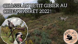 CHASSE au PETIT GIBIER SAISON 20222023  Perdreaux Faisans Lapin Lièvre au CHIEN DARRÊT 🐕 💥 [upl. by Yralam]