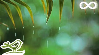 Relaxing Music amp Rain Sounds  Beautiful Piano Music Background Music Sleep Music • You amp Me [upl. by Drahser]