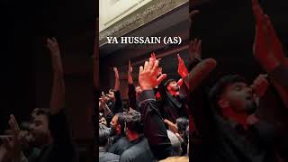 YA HUSSAIN AS  Nadeem Sarwar pursadari canada nadeemsarwar alijee alishanawar nohay shorts [upl. by Joscelin]