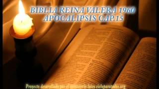 Biblia HabladaBIBLIA REINA VALERA 1960 APOCALIPSIS CAP 15 [upl. by Nosduj]