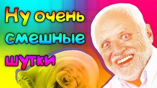 CSGO  НОУ КИК ОНЛИ МУТ [upl. by Rothmuller443]