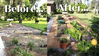 DIY potager garden [upl. by Ayram952]