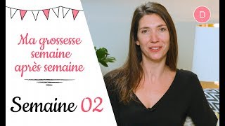 2ème semaine de grossesse – Le test de grossesse [upl. by Essej163]