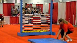 Dog Show  High Bar Jumping [upl. by Beall]