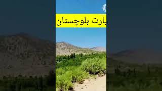 Tariq zeyarat Balochistan villagelife village villageproject viral share like shorts [upl. by Aneleve796]