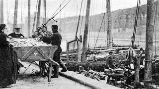 Old Photographs Eyemouth Scotland [upl. by Atalee]