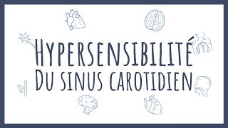 Sémiologie Cardiaque  Hypersensibilité du sinus carotidien [upl. by Nolak]