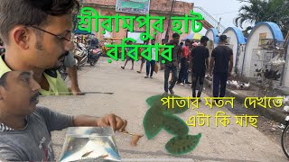 শ্রীরামপুর পশু পাখির হাট  Serampore pet market পাতার মতন দেখতে এটা কি মাছ [upl. by Wiener]