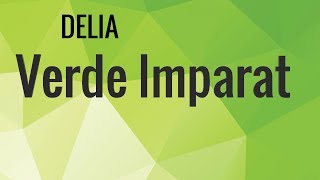 Delia  Verde Imparat VersuriLyrics [upl. by Amati]