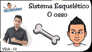 O Osso  Composição e células especializadas  Vídeo Aula 01 [upl. by Plafker246]