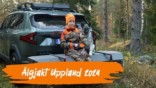 Älgjakt Uppland 2024 4K [upl. by Nero]