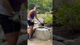 Planting Ajuga One of my Favorite Ground Covers landscaping gardening [upl. by Phenice323]