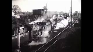 Steam action as four trains meet at Moss Vale in 1969 [upl. by Hueston806]