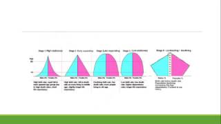 The Demographic Transition Model Explained [upl. by Engle]