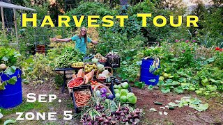 The Little Grand Permaculture Harvest Tour with Growing Tips and Ideas [upl. by Muhan]