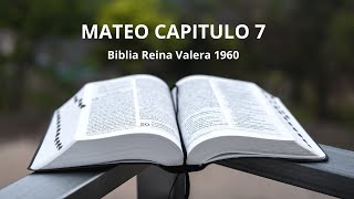 MATEO CAPITULO 7 BIBLIA HABLADA REINA VALERA 1960 [upl. by Andersen]