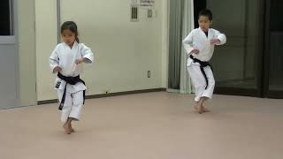 Karate Shotokan All Katas [upl. by Sandell]