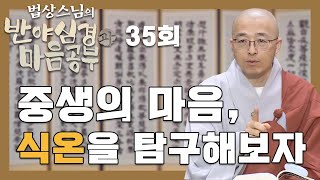 중생의 마음 식온을 탐구해보자  법상스님의 반야심경과 마음공부 35회 [upl. by Carmelle]