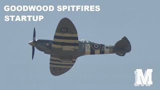 Two Spitfires at Goodwood Aerodrome Startup [upl. by Ahsinuq996]