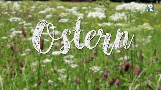 Ostern erklärt in 60 Sekunden [upl. by Aillemac]