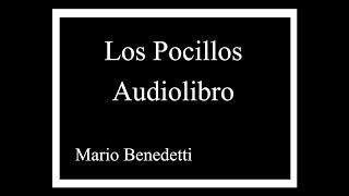 LOS POCILLOS AUDIOLIBRO [upl. by Haianeb]