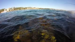 Terrigal haven sharks [upl. by Valda]