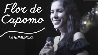 💮Flor de Capomo María inés Ochoa Festival de huapango arribeño🎻🎶 [upl. by Naesar54]