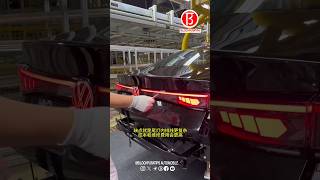 Through tail light Install [upl. by Giovanna216]