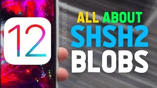 iOS 1212 Jailbreak Prep How to Save amp USE SHSH2 Blobs iOS 12 NonceReboot [upl. by Razaele]