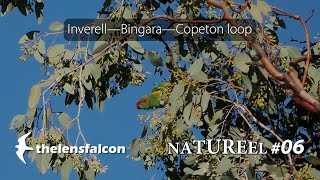 NATUREEL 06 Inverell—Bingara—Copeton loop [upl. by Nuahsal150]