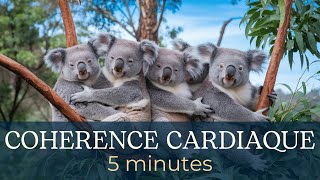 COHERENCE CARDIAQUE 5 minutes en compagnie dadorables koalas 🐨 [upl. by Yecaj429]