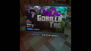 pov pleb settings gorillatag hottogetgorillatagmods oculusquest vr gorillatagtipsgorillatag [upl. by Ralf]