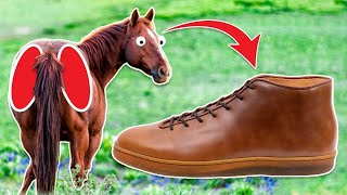 910 Why horse butt cheek sneakers cost [upl. by Lawan]