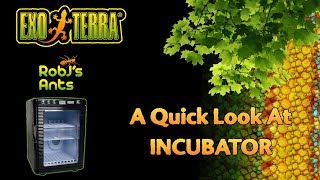 Exo Terra  Reptile Egg Incubator [upl. by Janus]