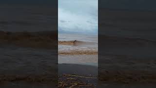 La Dana enfurece al Mar y destroza la Playa de Benajarafe [upl. by Kirst]