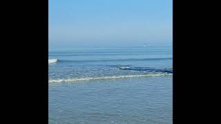 Ostend beach 31102024 oostende strand [upl. by Ilah235]