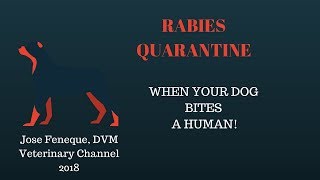 Rabies Quarantine  When Your Dog Bites A Human [upl. by Enibas]