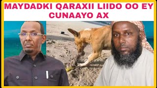 MUKHTAR ROOBOW IYO SANBALOOLSHE AYAA KA DANBEEYAY QARAXII LIIDO [upl. by Ahsenik664]