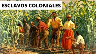 ¿COMO ERA la VIDA de un ESCLAVO en la ÉPOCA COLONIAL [upl. by Azile704]