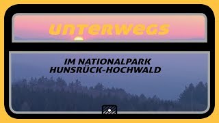 Nationalpark Hunsrück Hochwald ⎜Unterwegs mit dem Semesterticket [upl. by Nauqram]