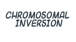 Chromosomal Inversions  Individual Project  Karon [upl. by Cirdec]