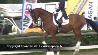 Falsterbo Horse Show warm up arena  Friday 14 July 2017  part 5 [upl. by Ilrebmik244]