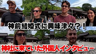 「映画の世界にいるみたい！」神社で神前結婚式をみていた外国人旅行者にインタビュー！ [upl. by Eceinal]